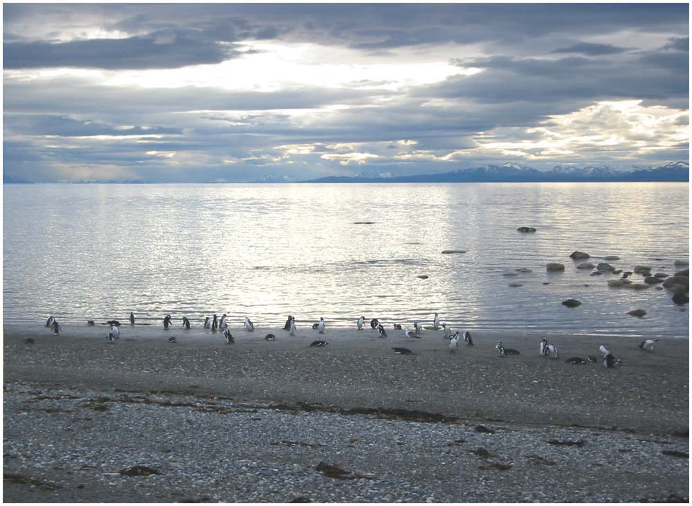 Puerto Natales, Seno Otway