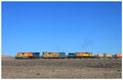 Güterzug in der Atacama