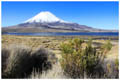 Vulkan Parinacota und Lago Chungará