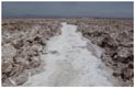 Angelegter Weg im Salar de Atacama