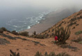 Parque Nacional Pan de Azúcar