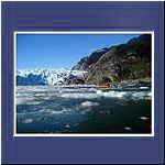 Laguna San Rafael, Gletscher