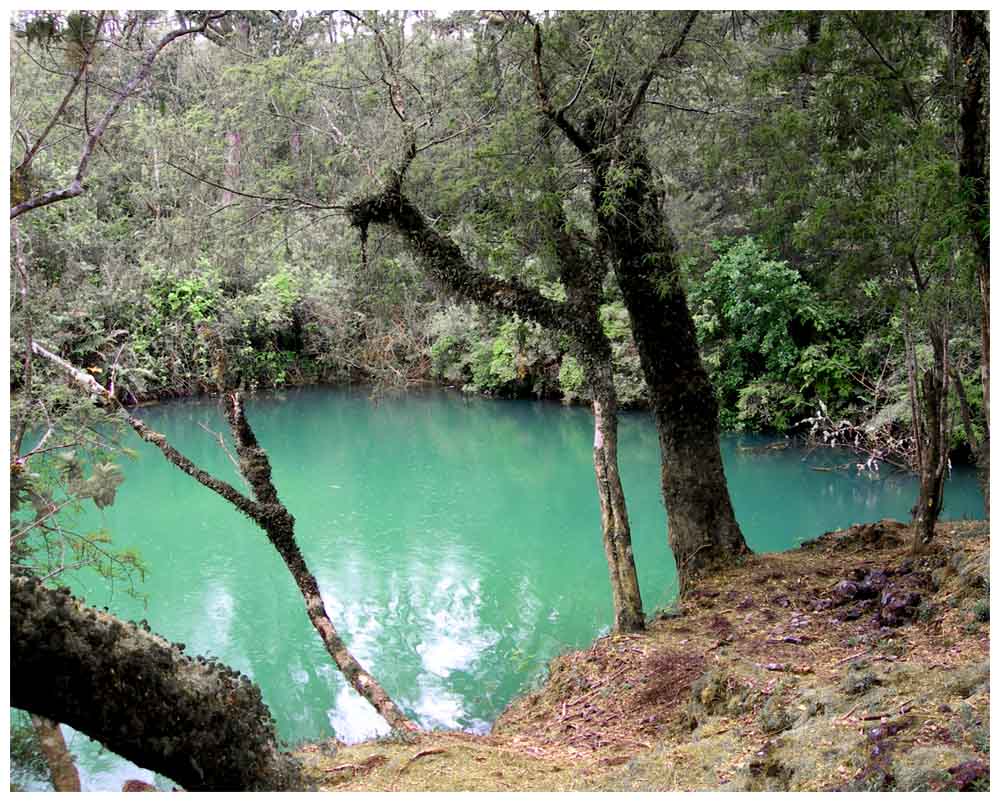 Laguna Verde am Lago Llanquihue