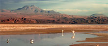 Salar de Atacama