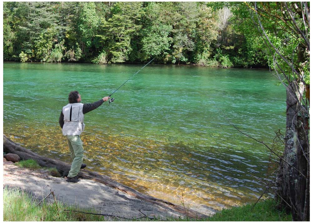 Fliegenfischen am Rio Cochamo