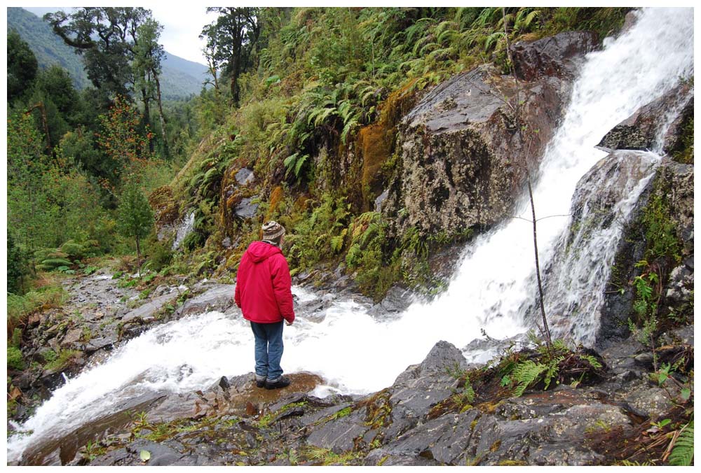 Parque Nacional Alerce Andino