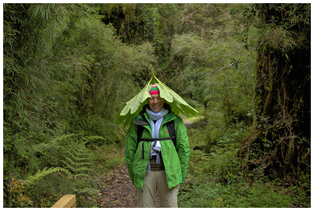 Pataginienreise 2013, Achim im Nationalpark Alerce Andino