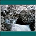 Alerce-Andino-Wasserfall