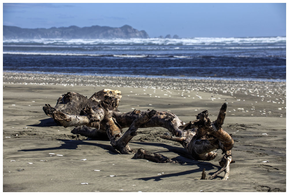 Chiloé, Pazifikstrand bei Cucao, Nationalpark Chiloé