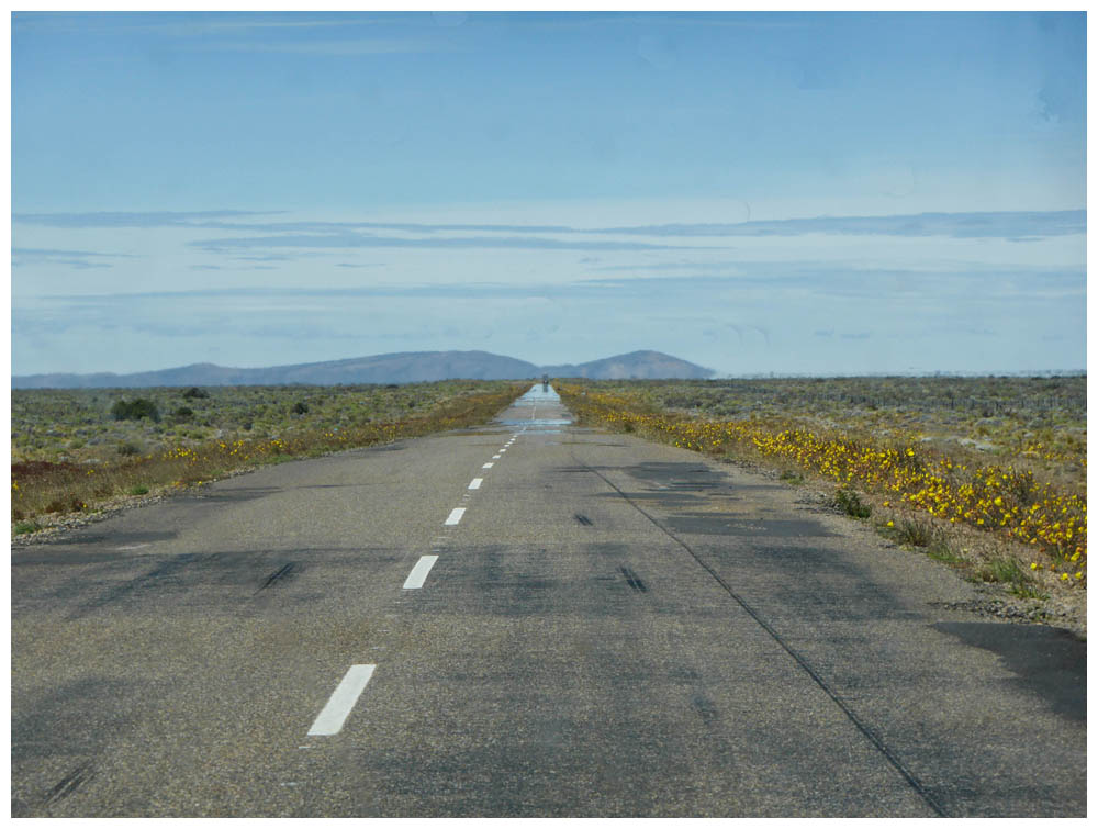 Fahrt durch die argentinische Pampa