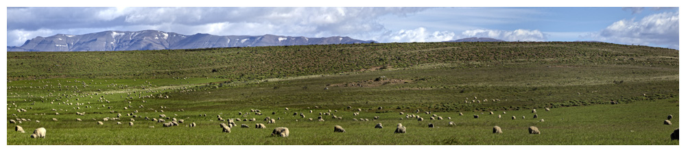 Fahrt in den Nationalpark Torres del Paine