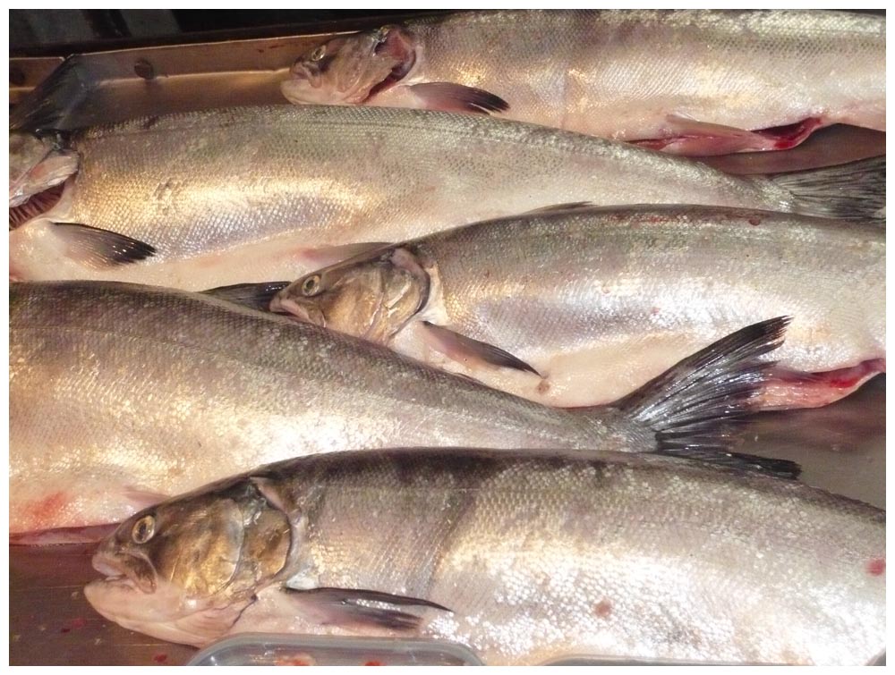 Fischmarkt in Puerto Montt Angelmó