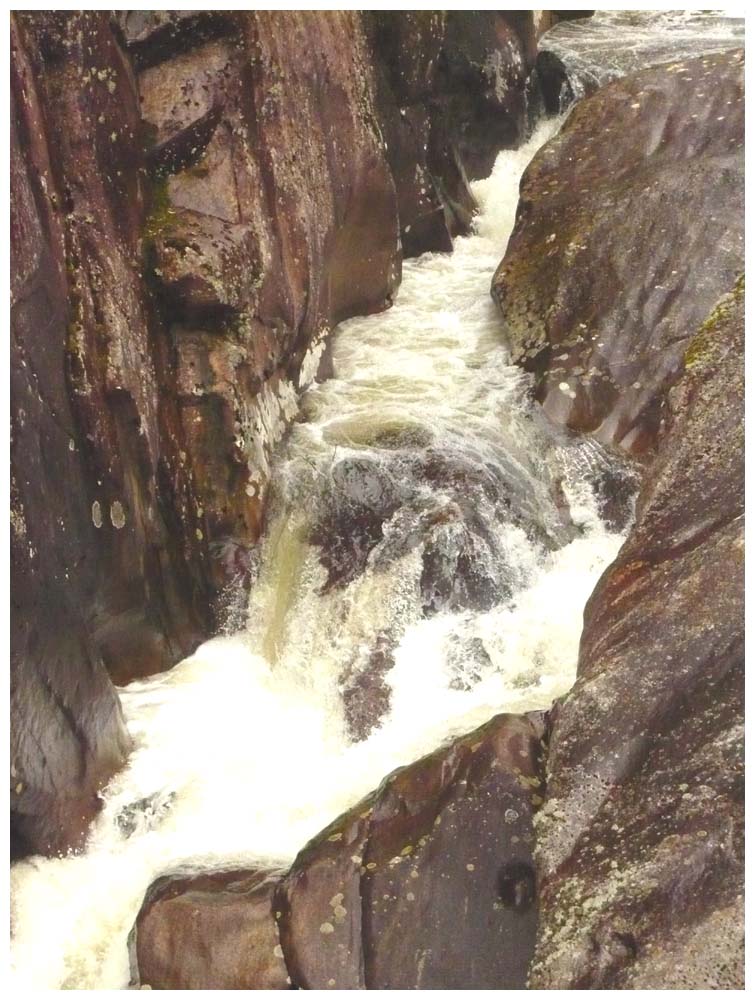 Rio Correntoso beim Alerce-Andino-Nationalpark bei Puerto Montt