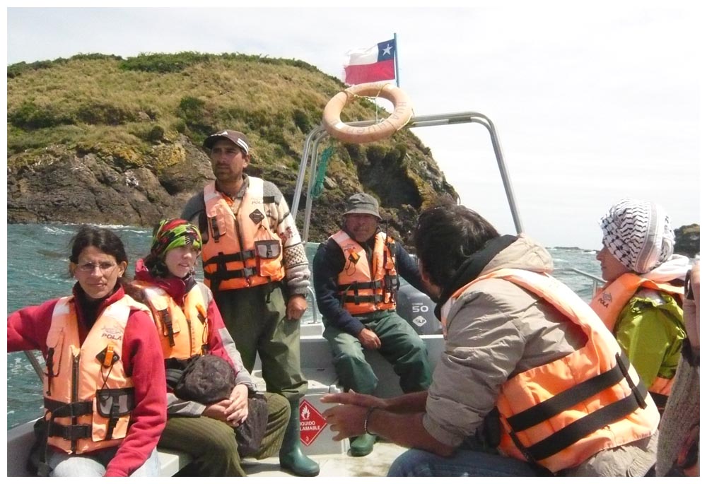 Bootsfahrt zu den Pinguinen, Chiloé