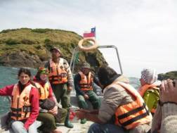 Bootsfahrt zu den Pinguinen auf Chiloe