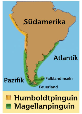 Karte, Verbreitungsgebiete der Humboldt- und Magellanpinguine