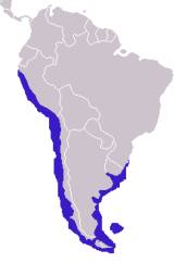 Verbreitungsgebiet der Mähnenrobben