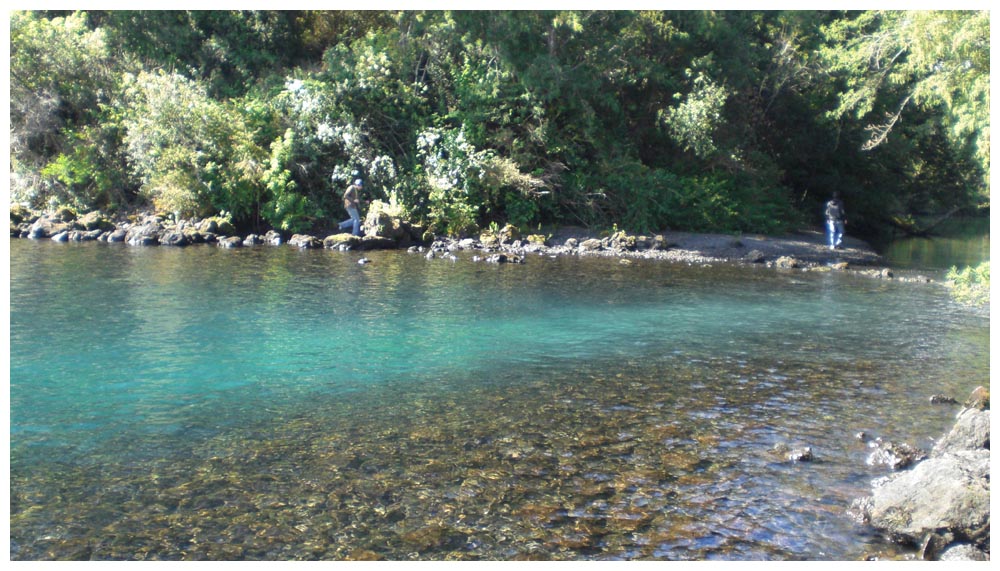 Laguna Verde beim Lago Llanquihue