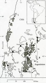 Verbreitungsgebiet der Alerce (Fitzroya cupressoides) 