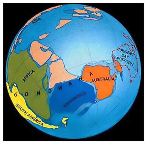 Karte, Urkontinent Gondwana 