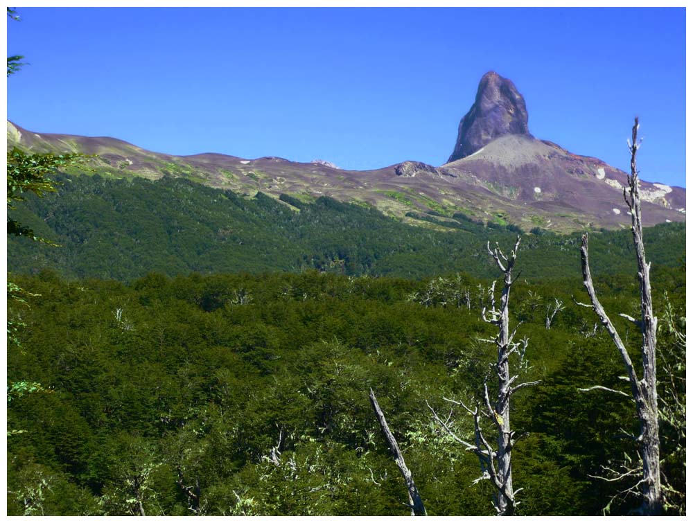 Der Cerro Pantojo heute