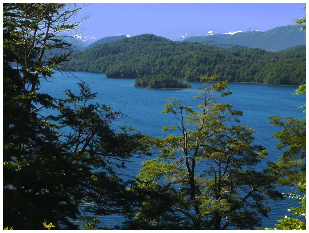 Wälder entlang des Lago Nahuel Huapi bei Villa La Angostura