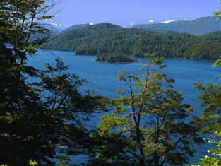 Wälder entlang des Lago Nahuel Huapi 