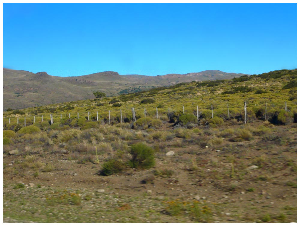 Pampa wenige Kilometer vor Bariloche