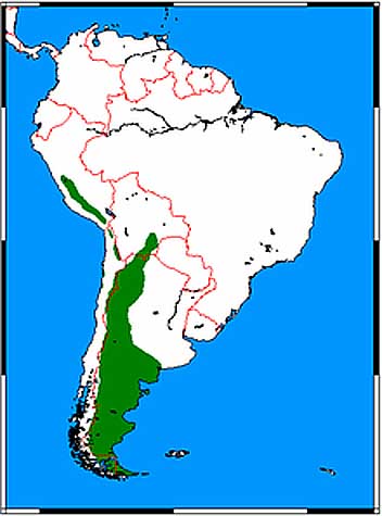 Verbreitungsgebiete der Guanakos