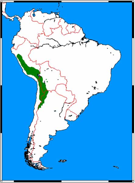 Verbreitungsgebiete der Vicuñas