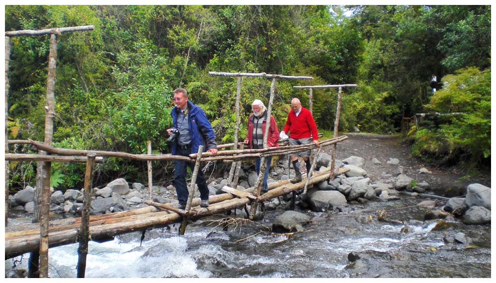 Las Cascadas: Der Weg durch den Urwald