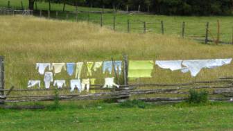 Waescheleine am Bauernhof bei den Termas de Ralún