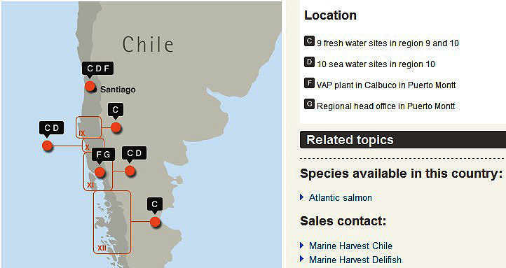 Grafik der Standorte der Marine Harvest in Chile