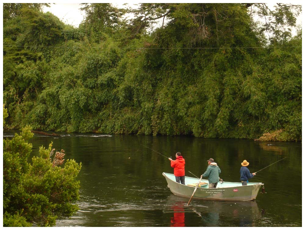 Flyfishing am Rio Maullin bei Monte Verde