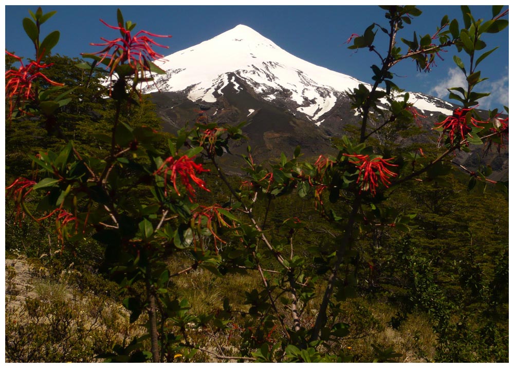Mein schönstes Foto vom Vulkan Osorno