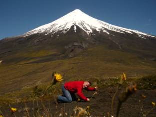 Vulkan Osorno beim Paso Desolacion