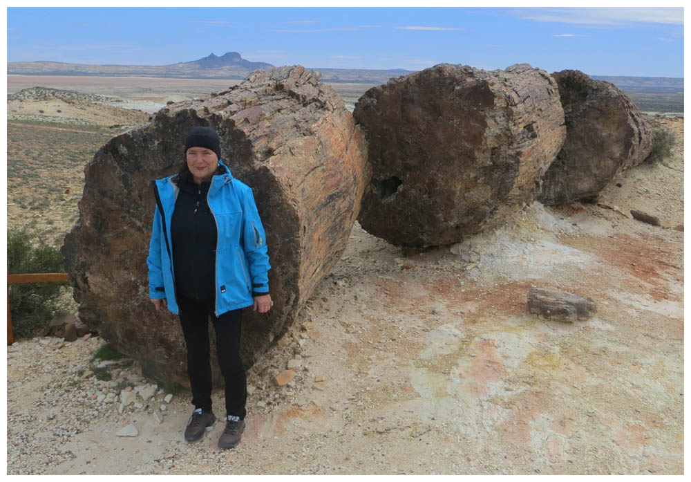 Monumento Natural Bosque Petrificado Jaramillo, Regine