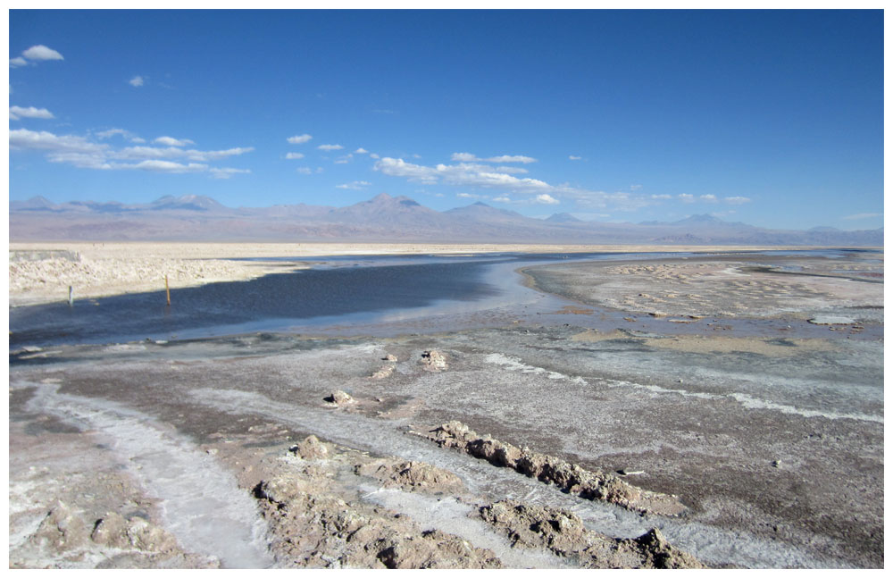 Salar de Atacama, Laguna Chaxa