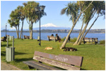 Puerto Varas, Mole