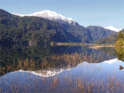 Lago Cayutué