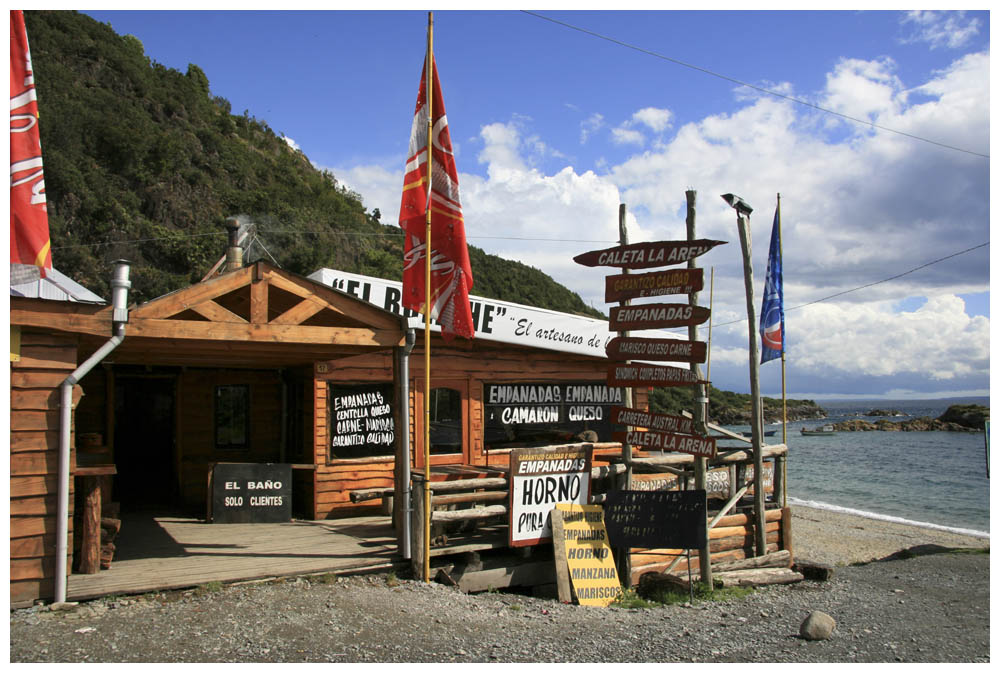 Tour zu Seelöwen bei Caleta La Arena