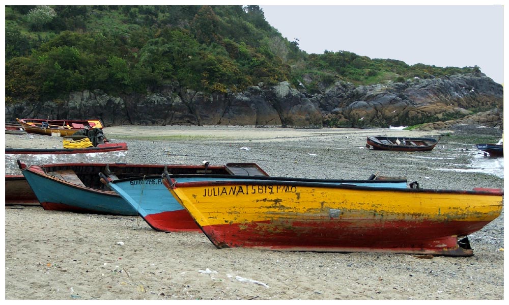 Tour zu Seelöwen bei Caleta La Arena, Strand