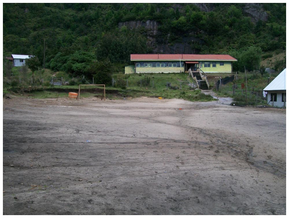 Tour zu Seelöwen bei Caleta La Arena