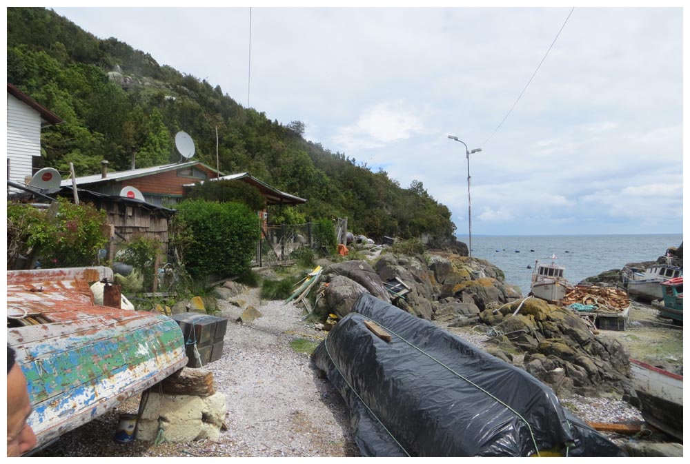 Tour zu Seelöwen bei Caleta La Arena, bei Juan Velásquez