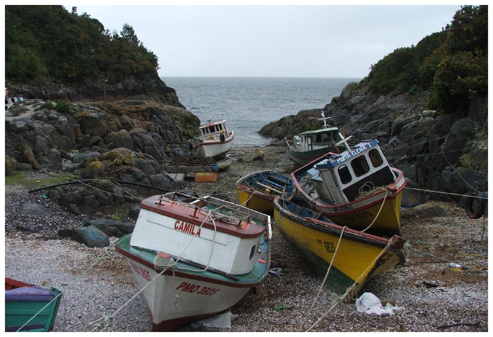 Tour zu Seelöwen bei Caleta La Arena, Fischerboote