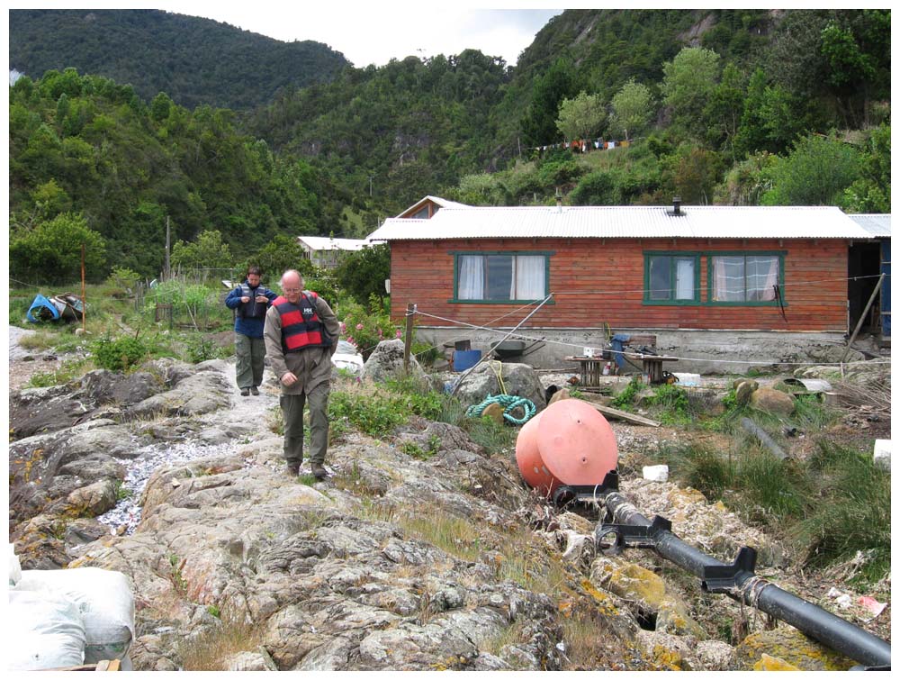 Tour zu Seelöwen bei Caleta La Arena, bei Juan Velásquez