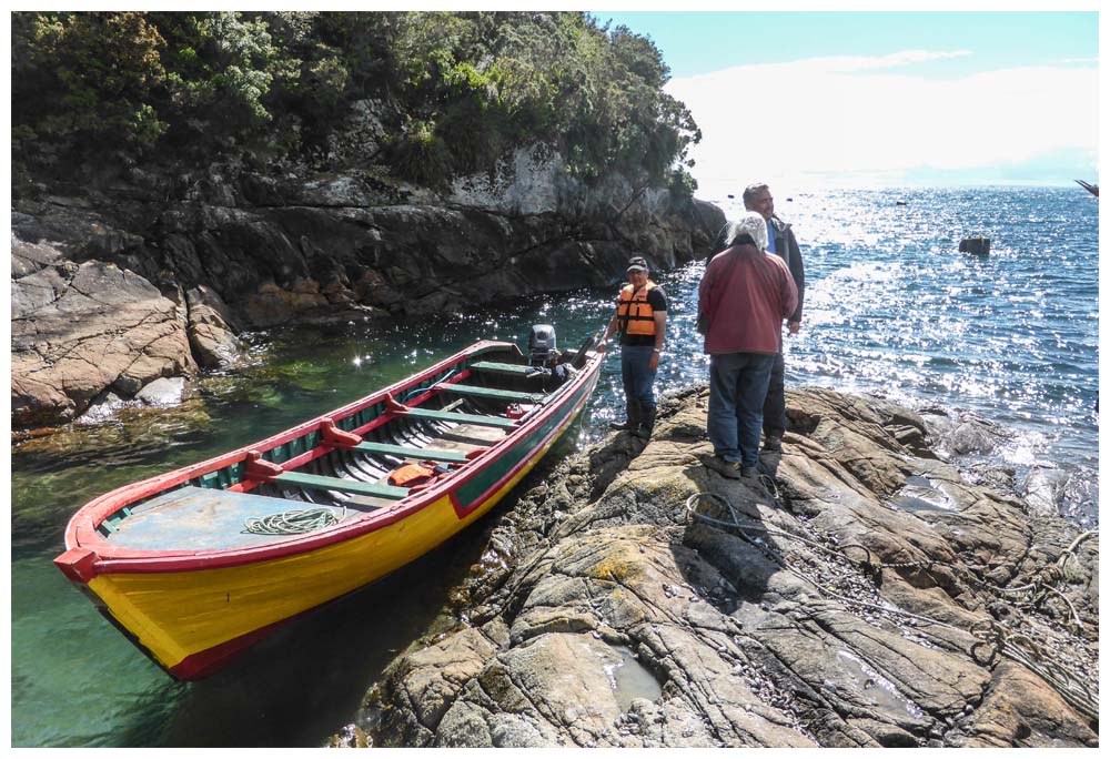 Tour zu Seelöwen bei Caleta La Arena