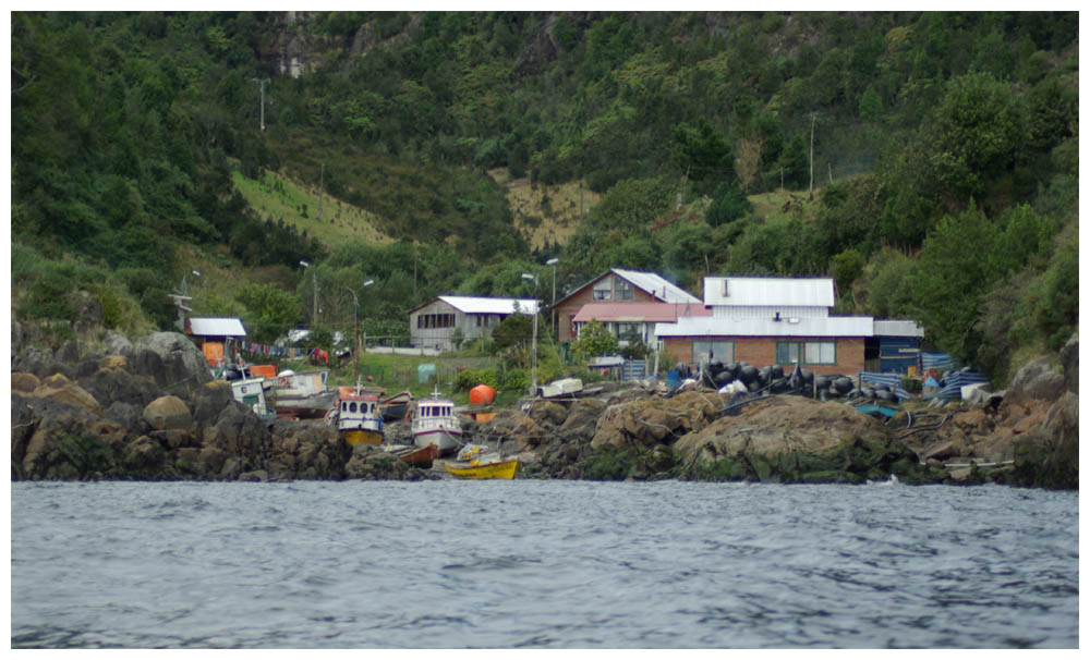 Tour zu Seelöwen bei Caleta La Arena, bei Juan Velásquez