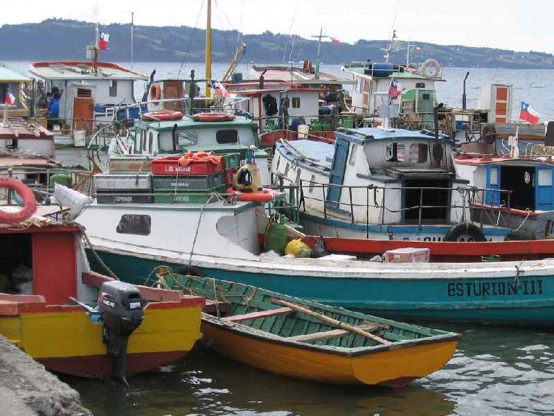 Chiloé: Auf eine Fläche von  9300 km² leben auf Chiloé ca. 135.000 Einwohner. Abseits der Ruta 5, der Panamericana, die bei Quellón endet, gibt es kaum asphaltierte Straßen, sodass die meisten Orte dort nur über Schotterpisten zu erreichen sind. Der Großteil der Inselbewohner lebt vom Fischfang und Kunsthandwerk. Auf den örtlichen Märkten findet man ein reichhaltiges Angebot an Korbwaren, Wollprodukten und  liebevollen Arbeiten aus Muschelschalen.