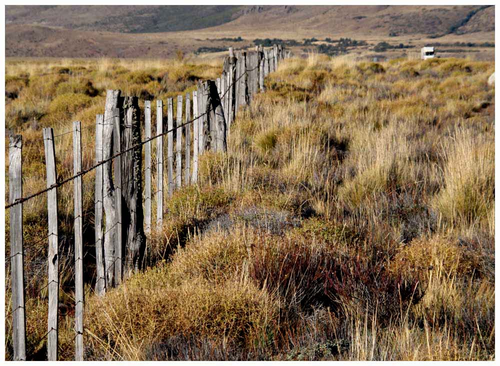 Zaun in der Pampa
